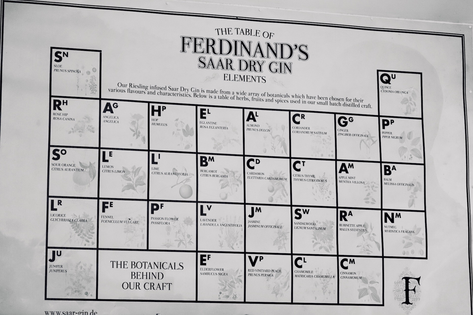 Ferdinands Saar Dry Gin... dazu ein herbstlicher Gin Tonic 