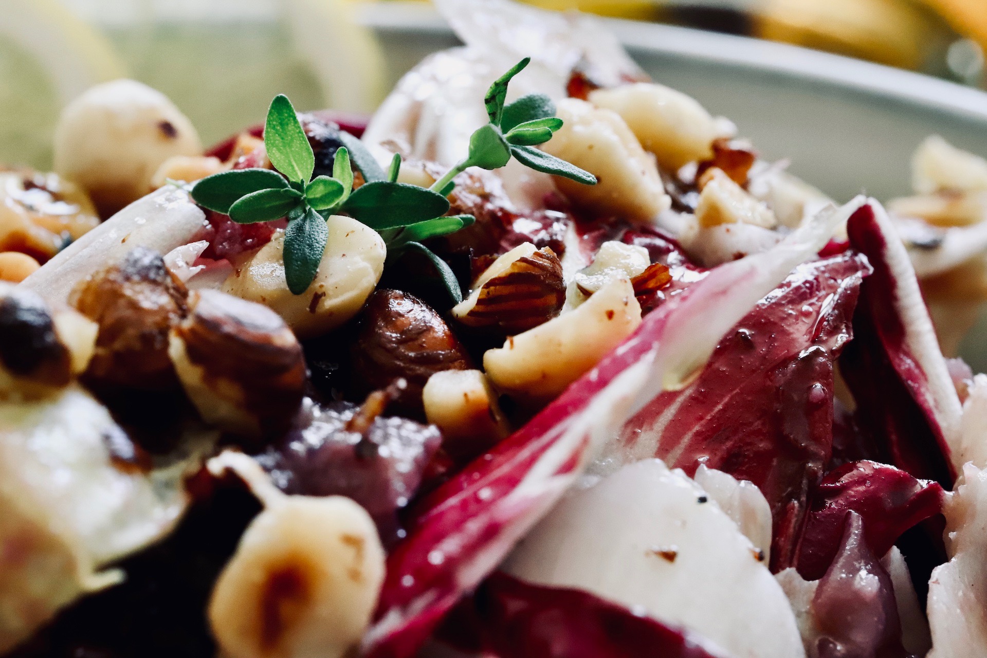 Bittersalat Radicchio Chicoree Salat Mit Gerosteten Haselnussen Und Knoblauch Zartbitter Zuckersuss